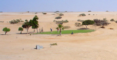 desertgolf1