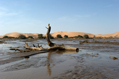 thumb__DSC3202